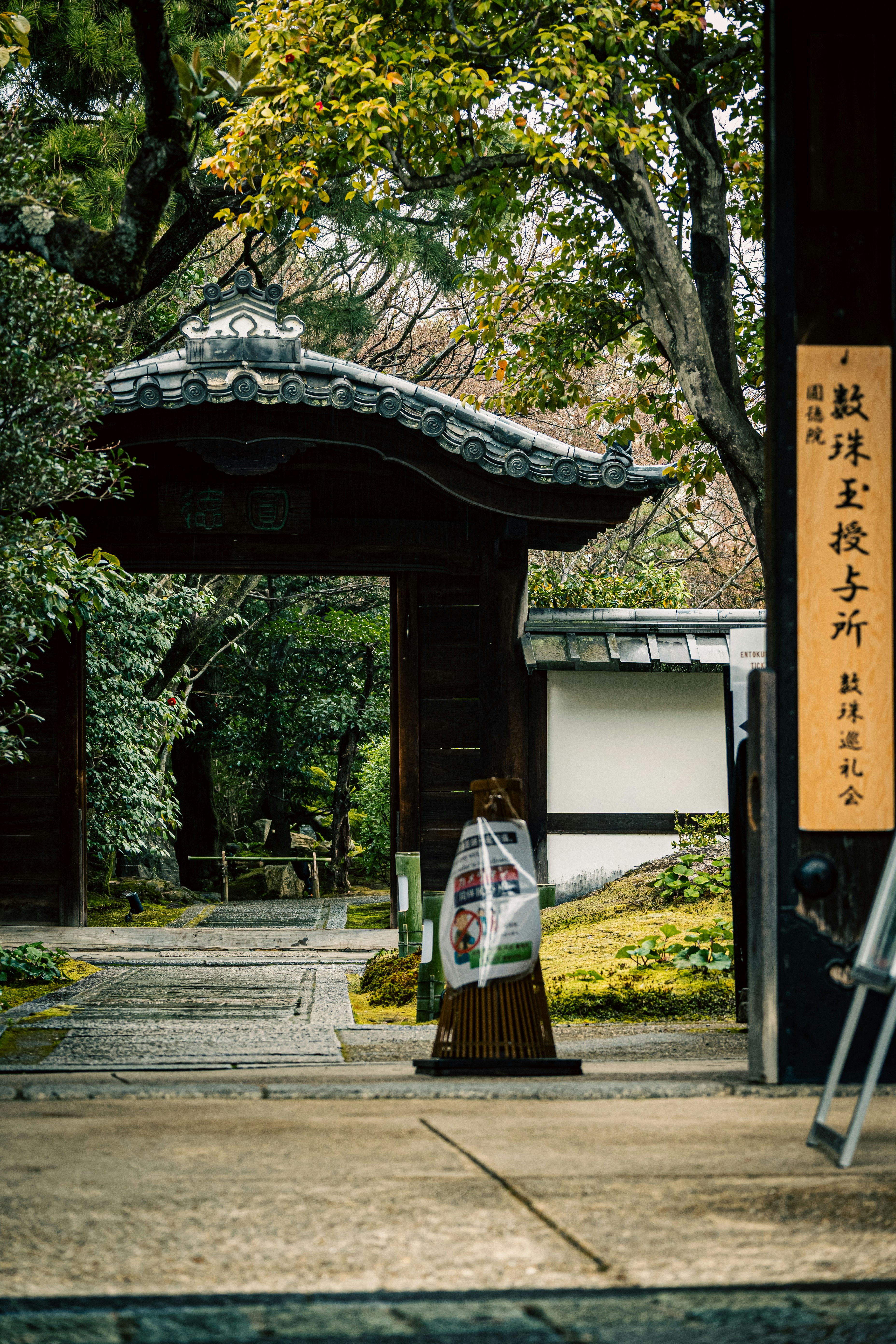 苔むす石畳の参道と門のアーチ、提灯のある庭