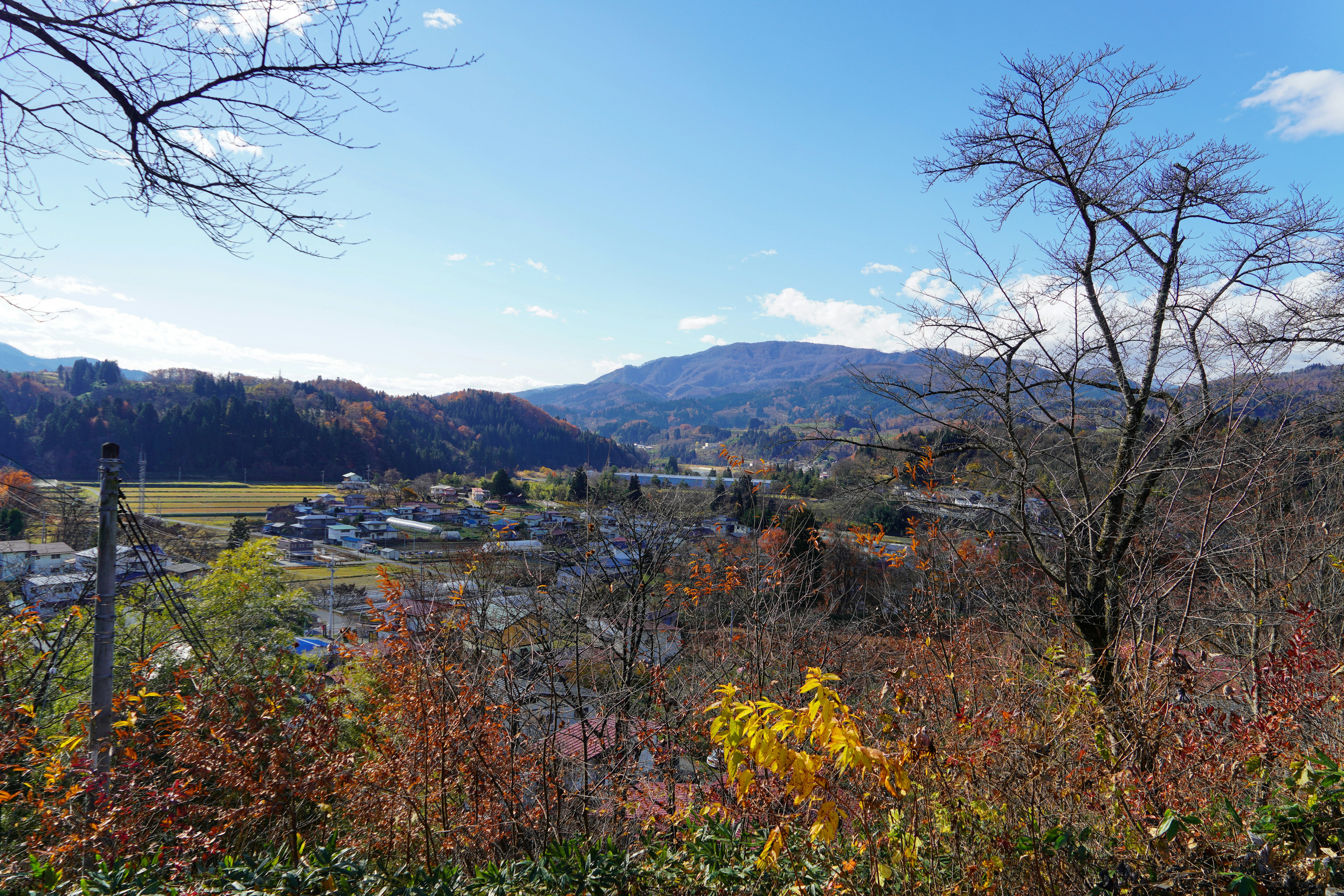 远处群山与湖景的郊外风光