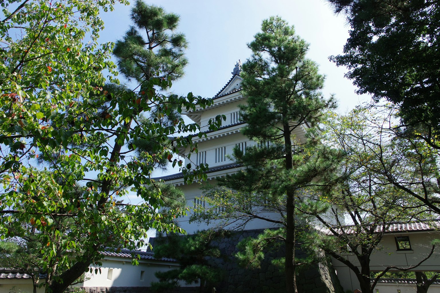 Torre di castello bianca circondata da alberi