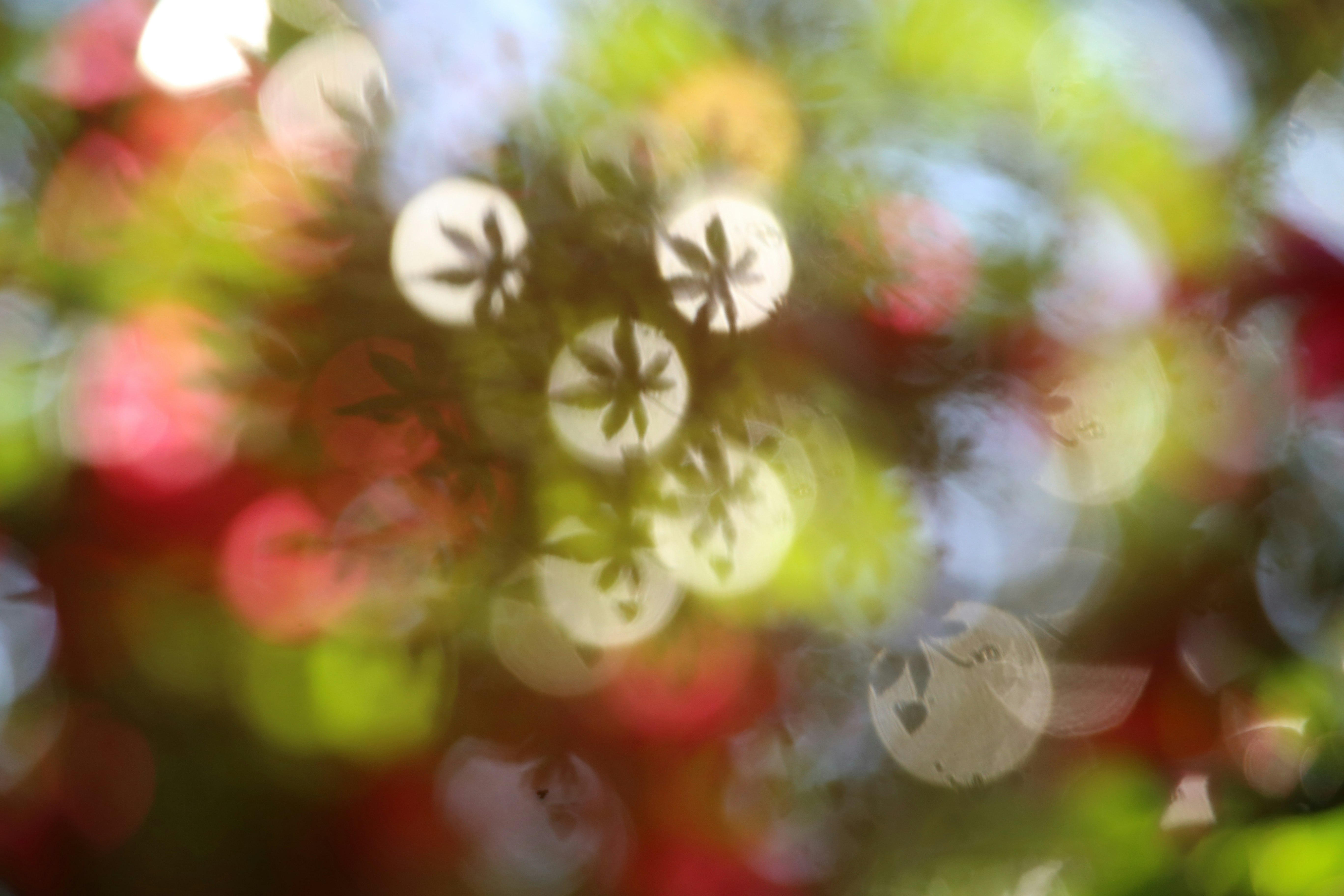 ボケの効いた花と葉のマクロ背景