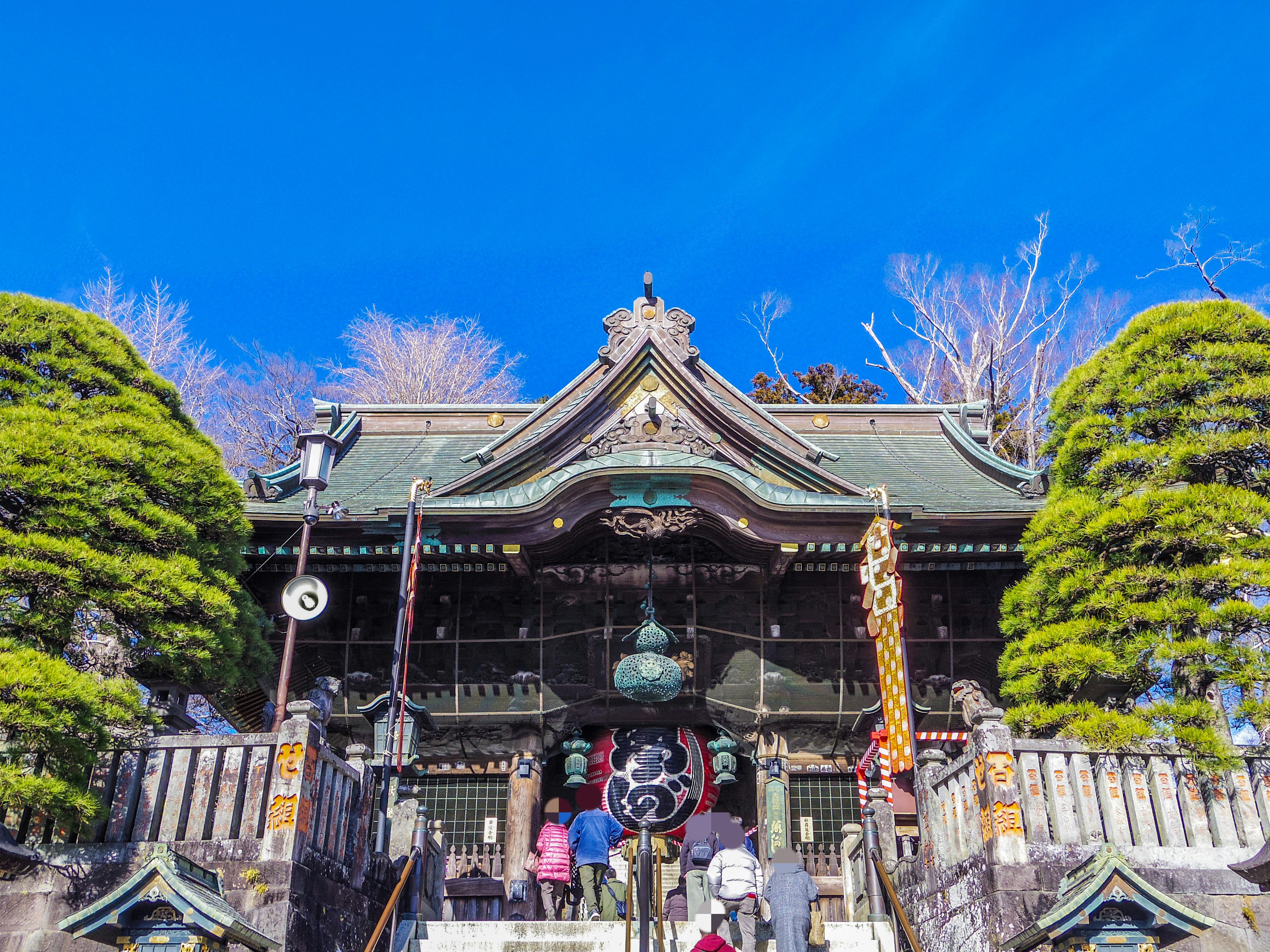 青空の下、苔むした庭と神社の楼門