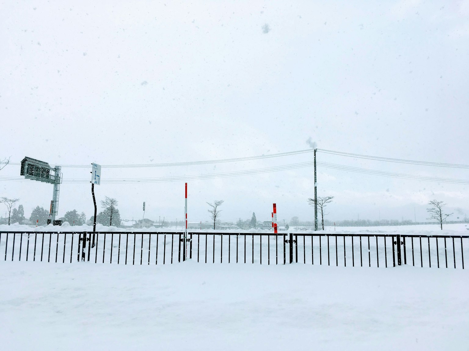 被雪覆蓋的風景與遠處的電線