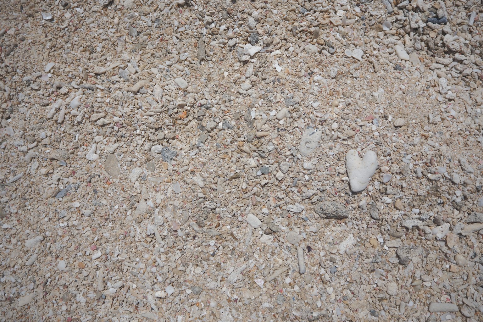 Texture of ground with gravel and small stones