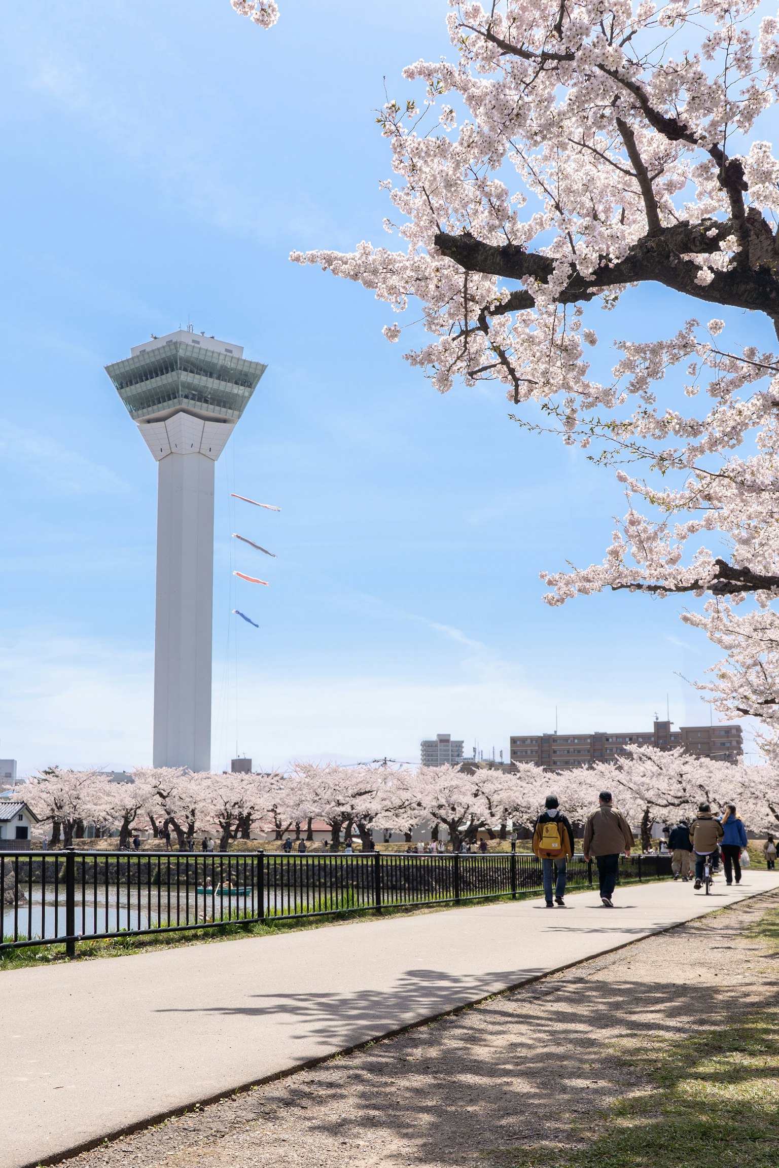 Torre circondata da alberi di ciliegio in fiore e cielo blu