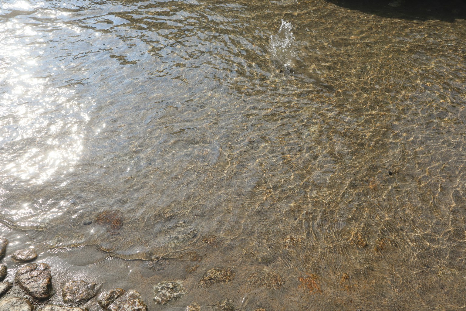 Pemandangan sungai tenang dengan riak di permukaan air dan tepi berbatu