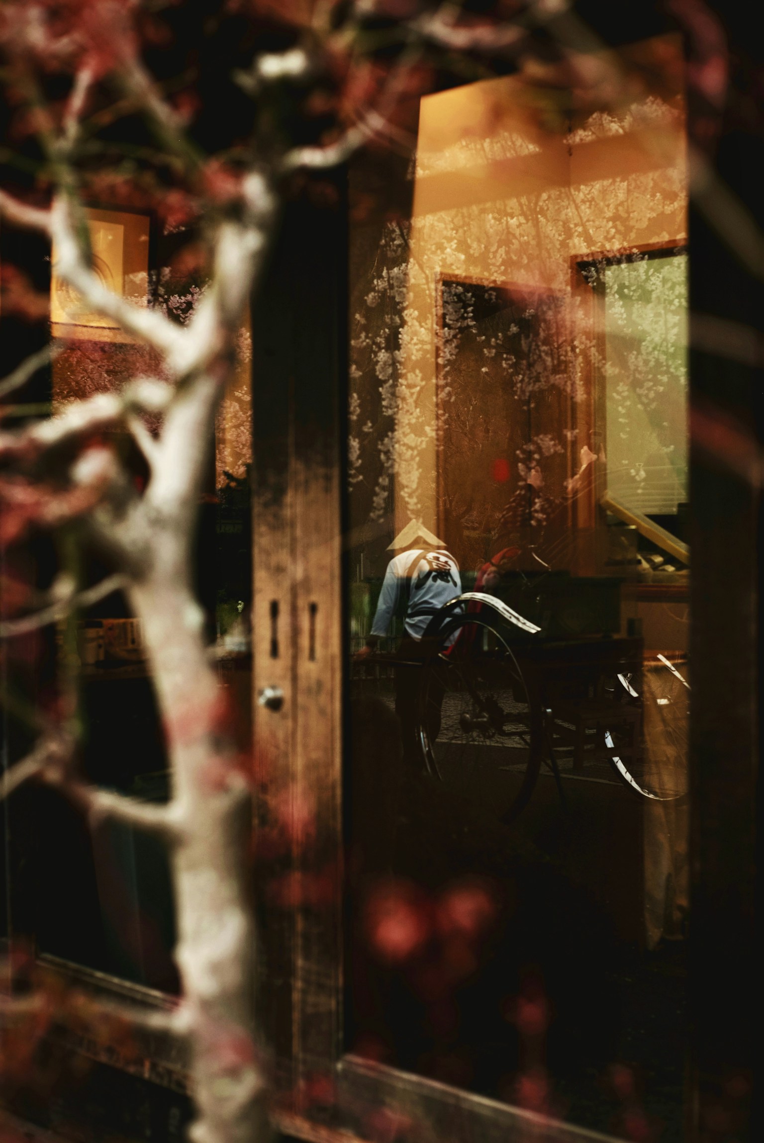 photo-DBmbBjpQmFPVI2w4MUdL-image