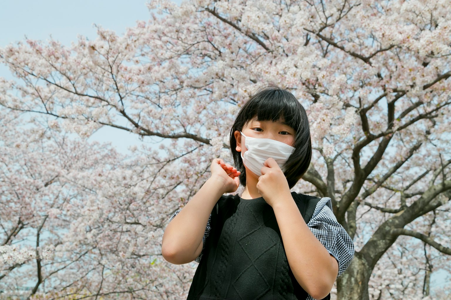 女孩在樱花树下戴着口罩