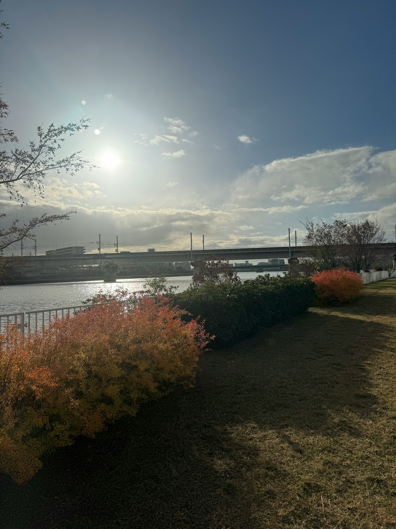Vista del parco con fiume e ponte, sole luminoso e cielo blu, fiori colorati in fiore