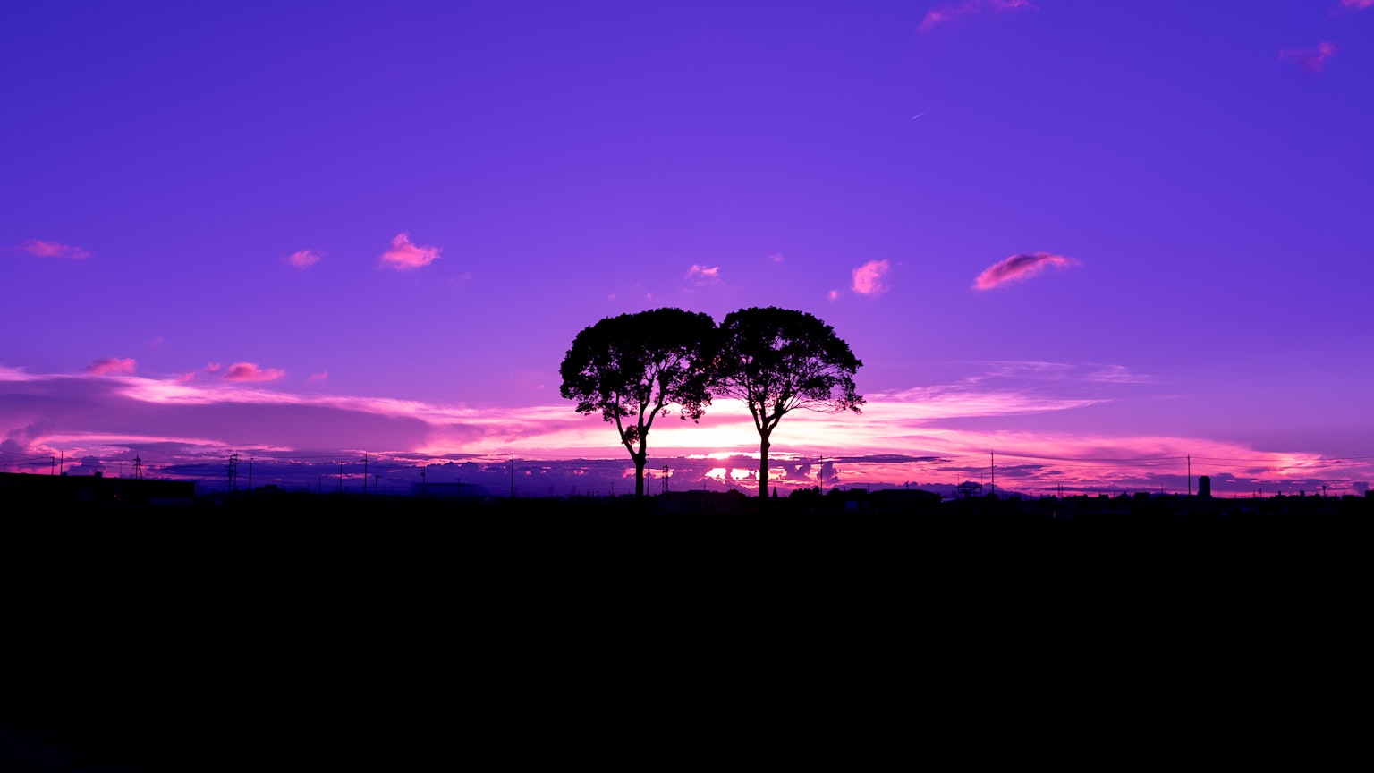 Dos árboles en silueta contra un cielo de atardecer púrpura