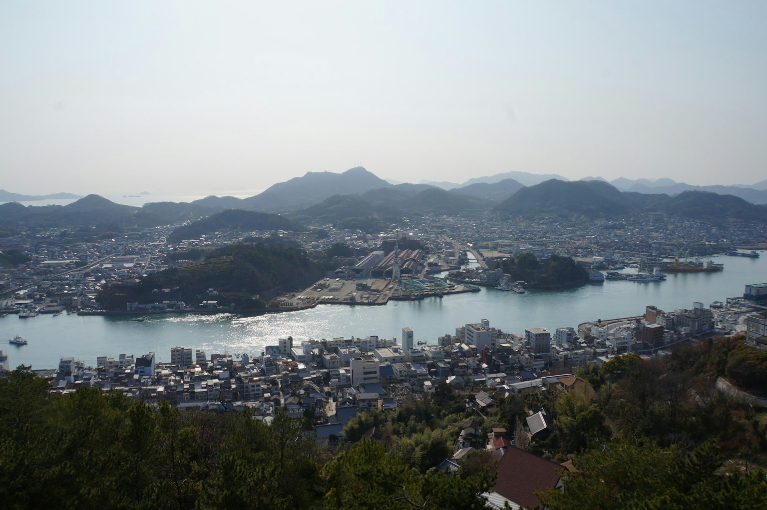Scenic view of a coastal town and river from a hilltop