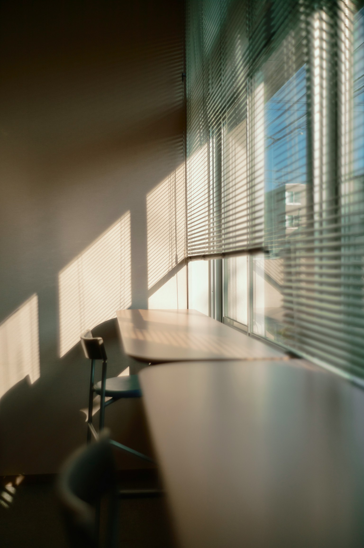 明るい窓辺に沿った長いテーブルと椅子の影が映る室内の風景
