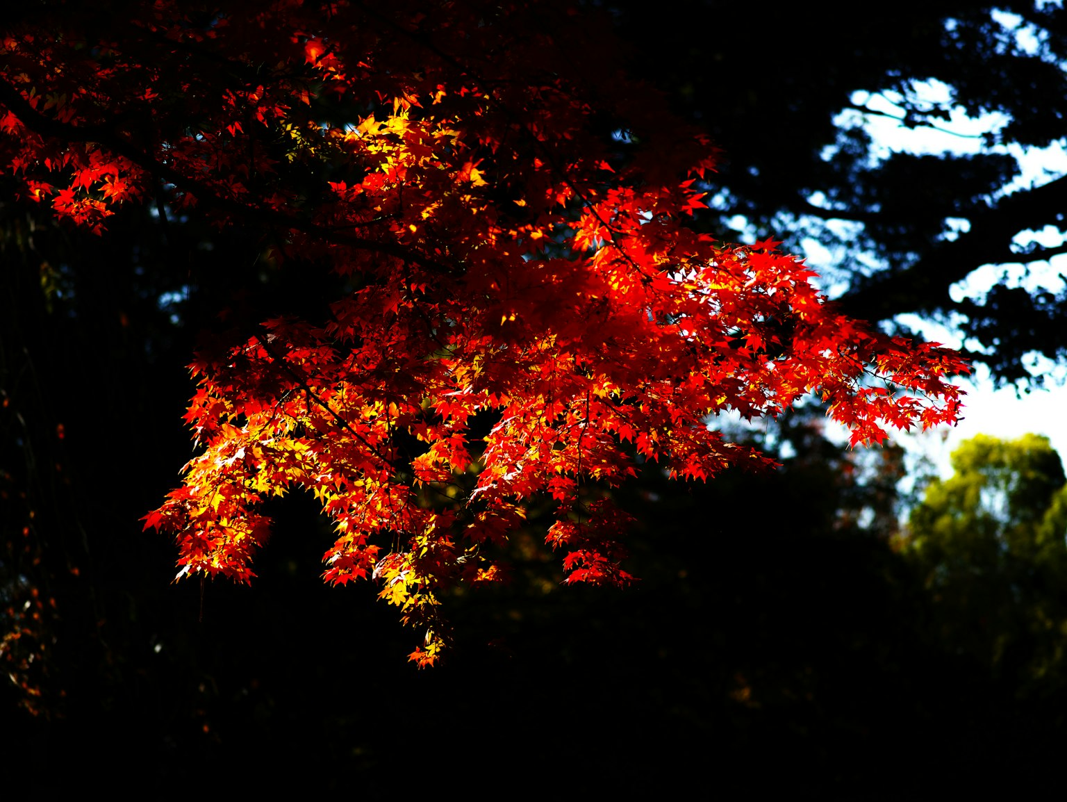 photo-DFC3KTxKUBnXuU8TQunD-image