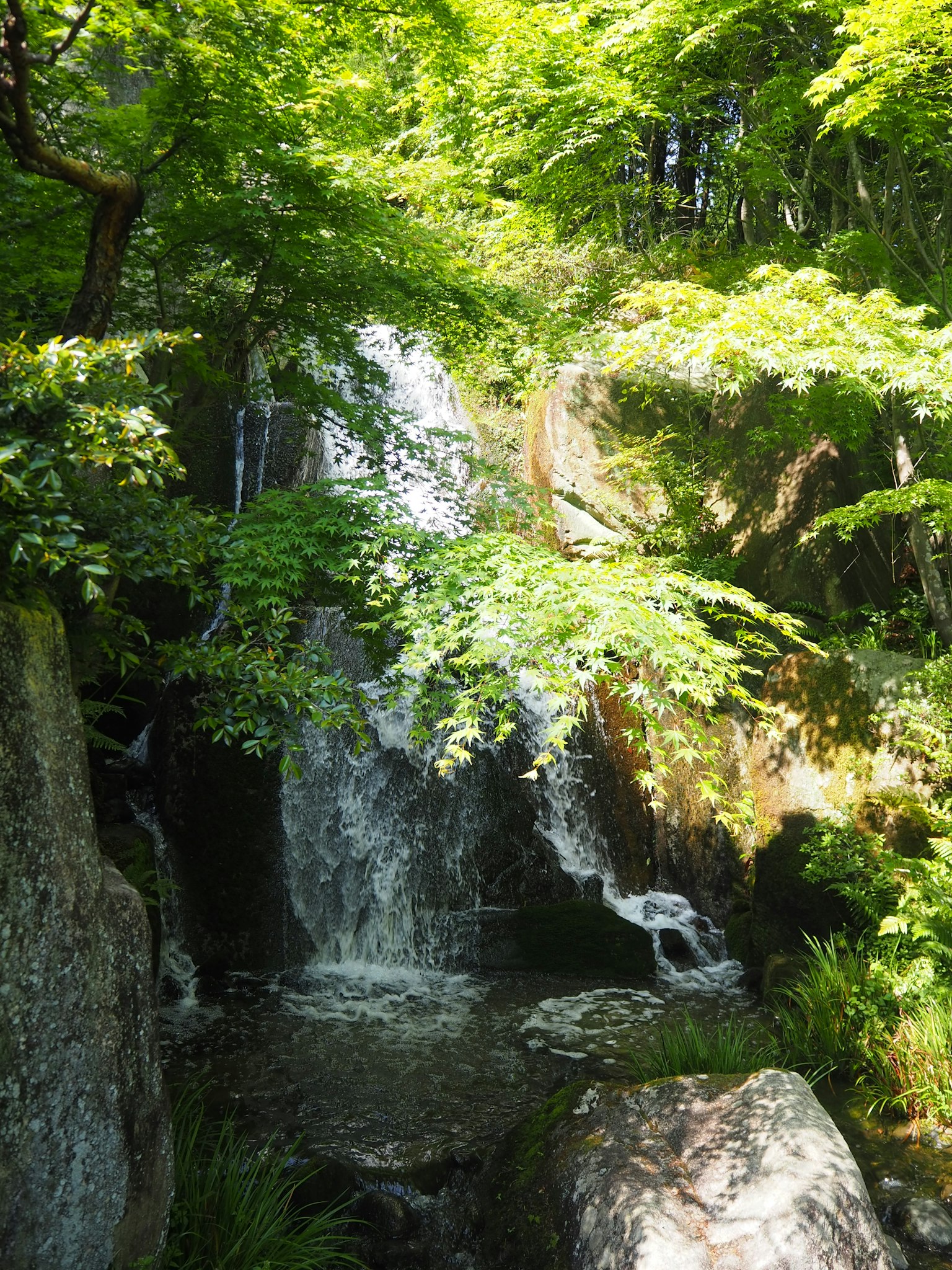 Air terjun kecil dikelilingi pohon hijau subur