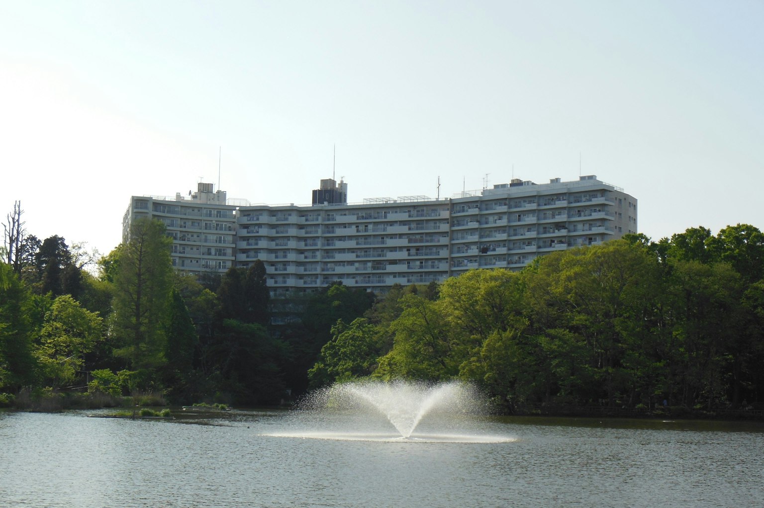 公园湖中的喷泉，周围环绕着绿树和建筑