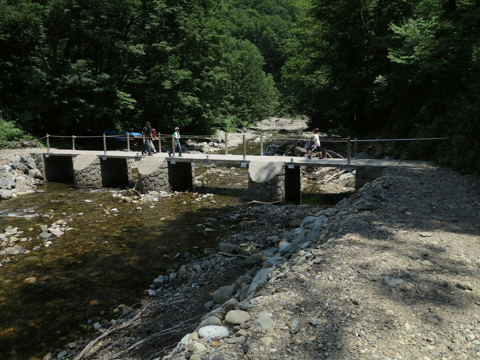 Puente sobre un río rodeado de árboles verdes exuberantes