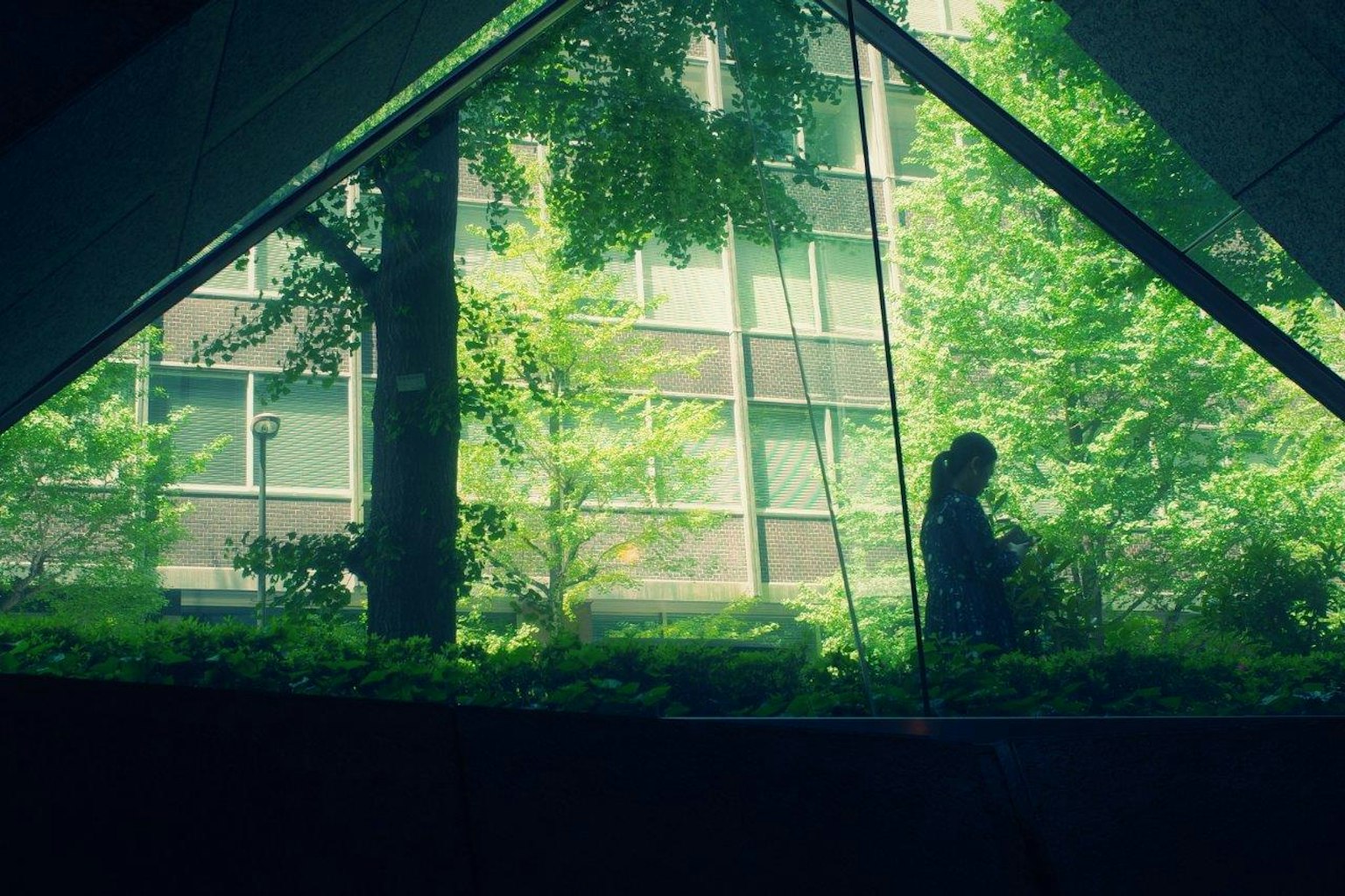 Silueta de una persona vista a través de una ventana triangular con vegetación exuberante de fondo