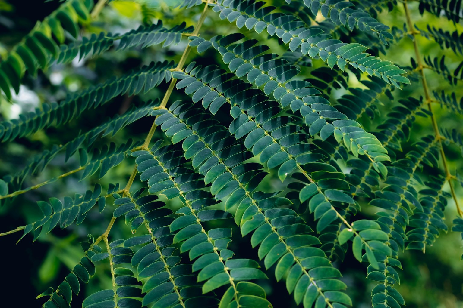 photo-DGmzJgsI9NnM4xpgNRnO-image