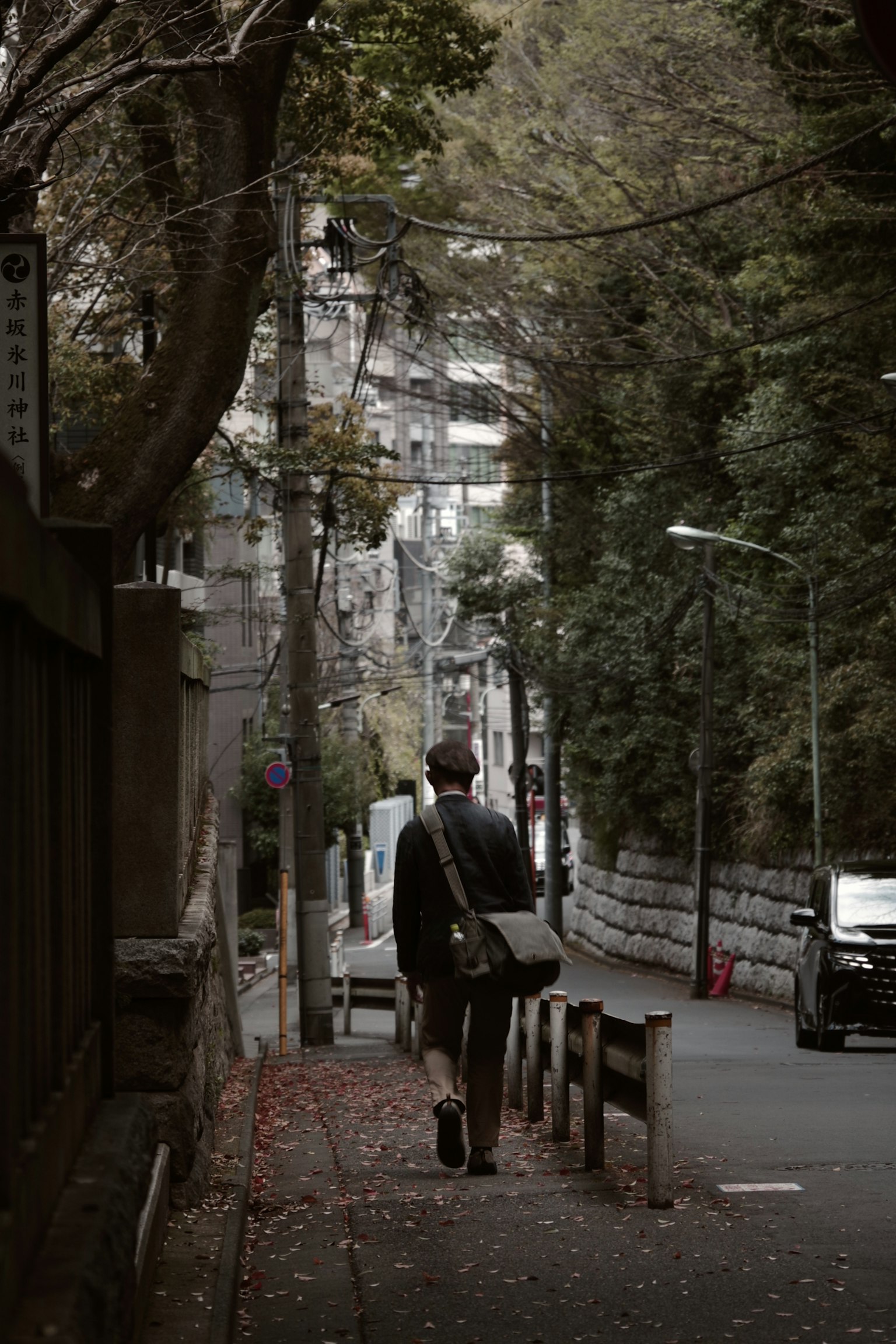Person walking on a quiet street surrounded by trees