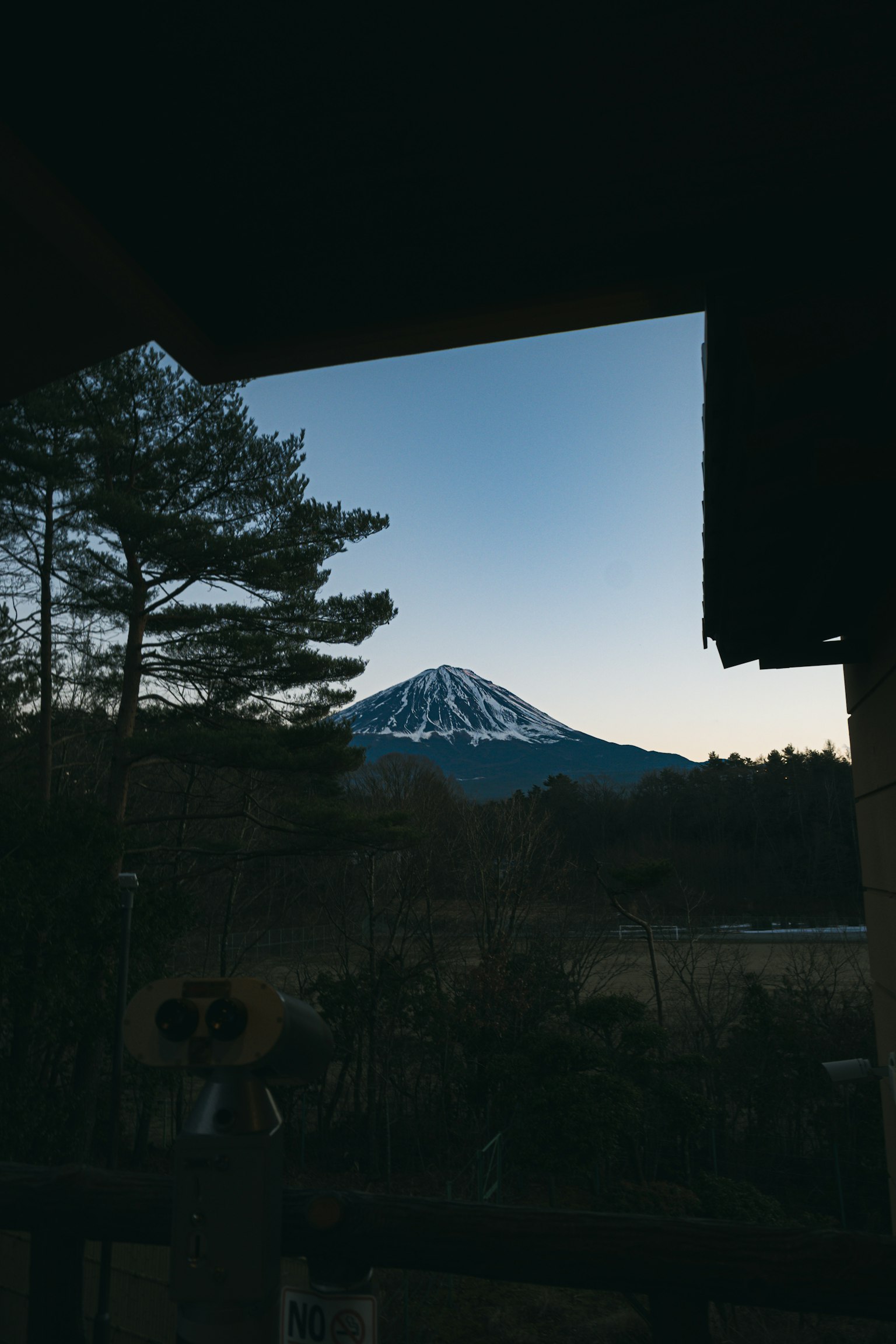Bella silhouette del Monte Fuji in un paesaggio tranquillo con alberi