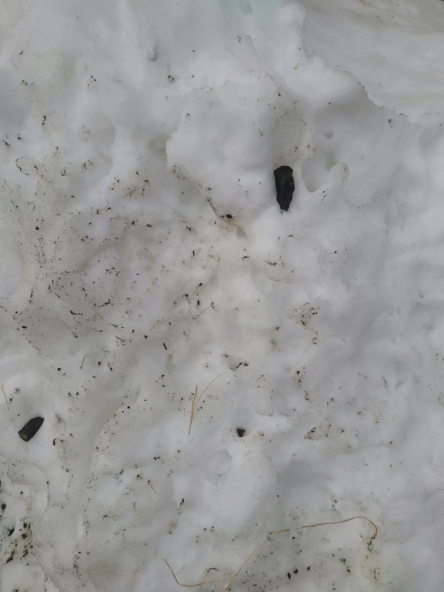 Objets noirs sur la neige avec des marques de saleté