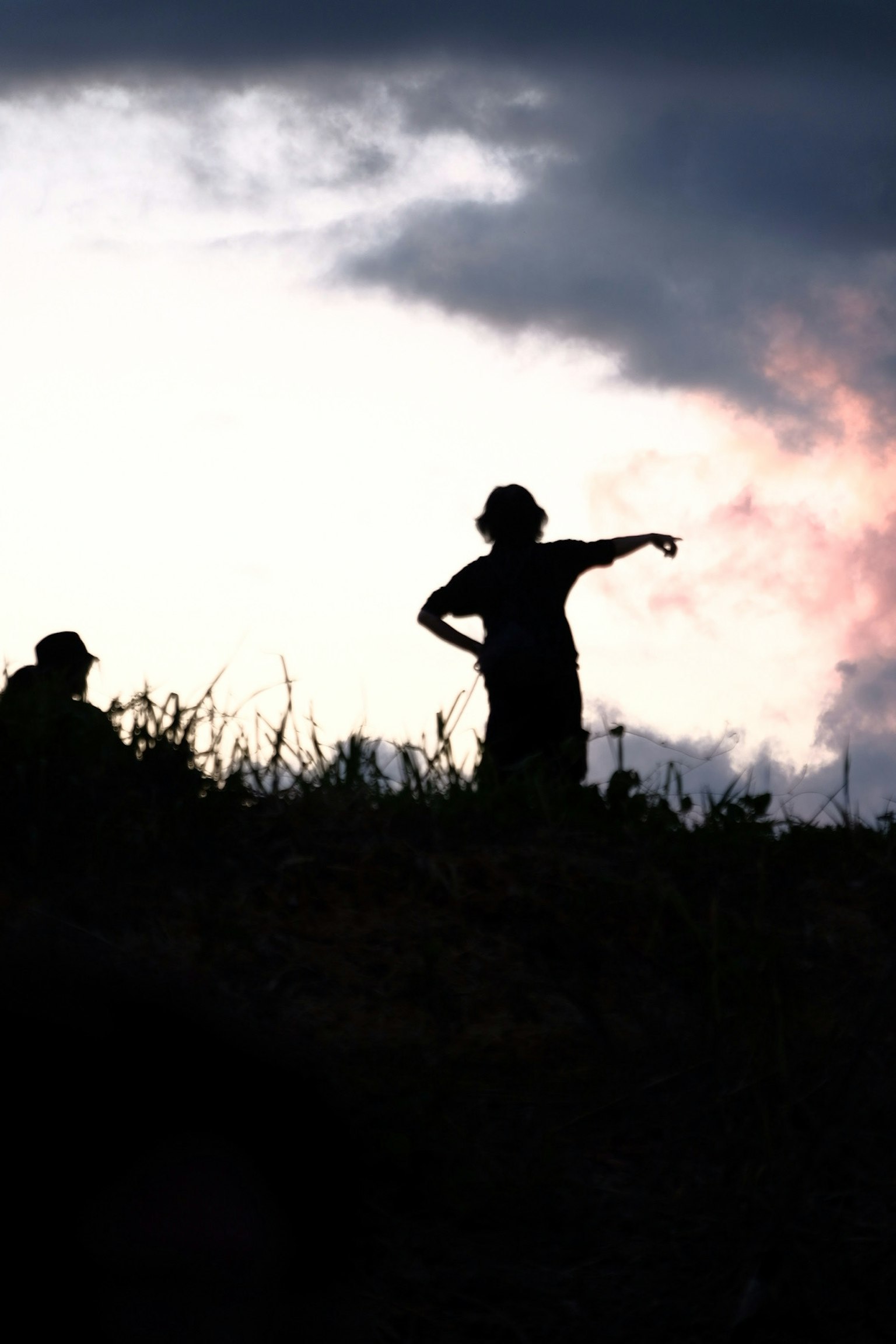Figuras en silueta de pie en un campo de hierba durante el atardecer