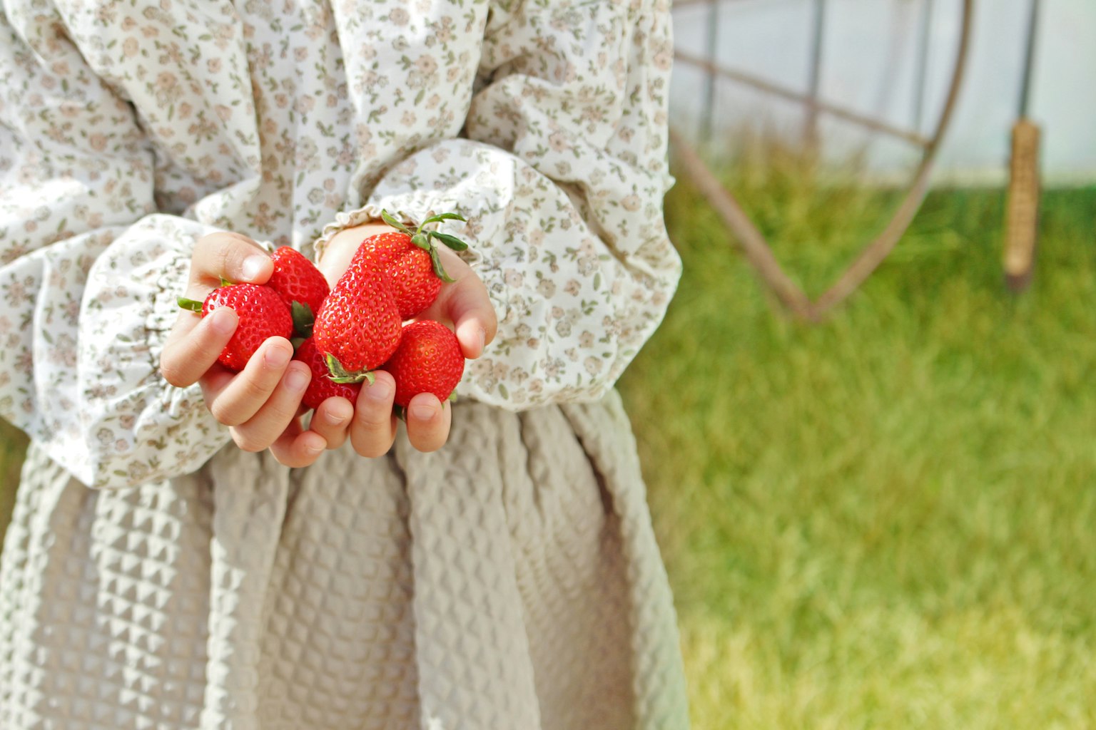 Fille tenant des fraises fraîches dans ses mains portant une robe à fleurs