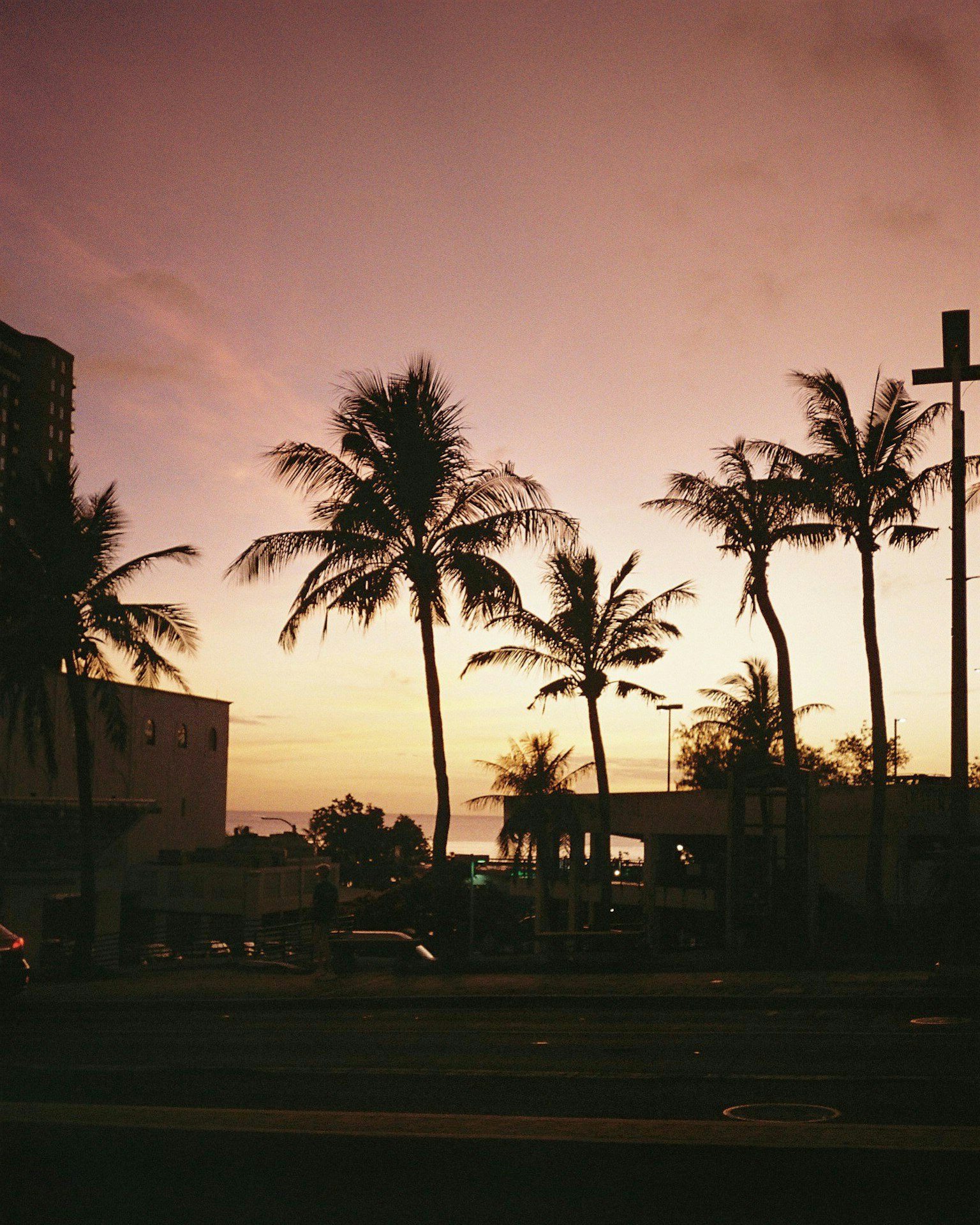 Palmeras en silueta contra un cielo violeta al atardecer junto a la playa