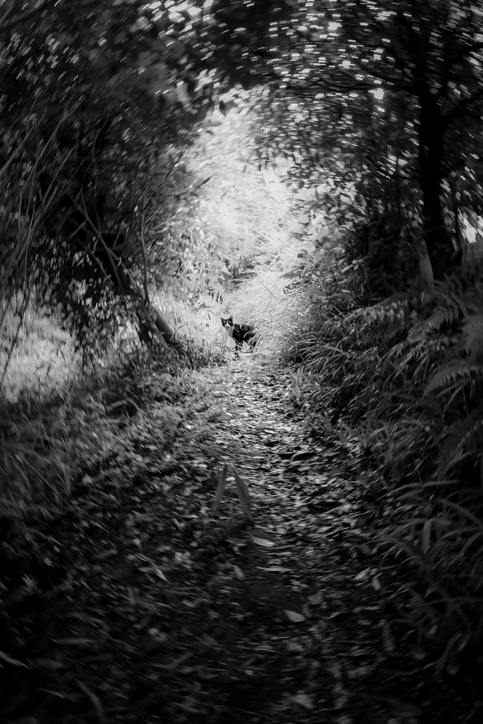 photo-DJnahhRfVibuBarZXMk5-image