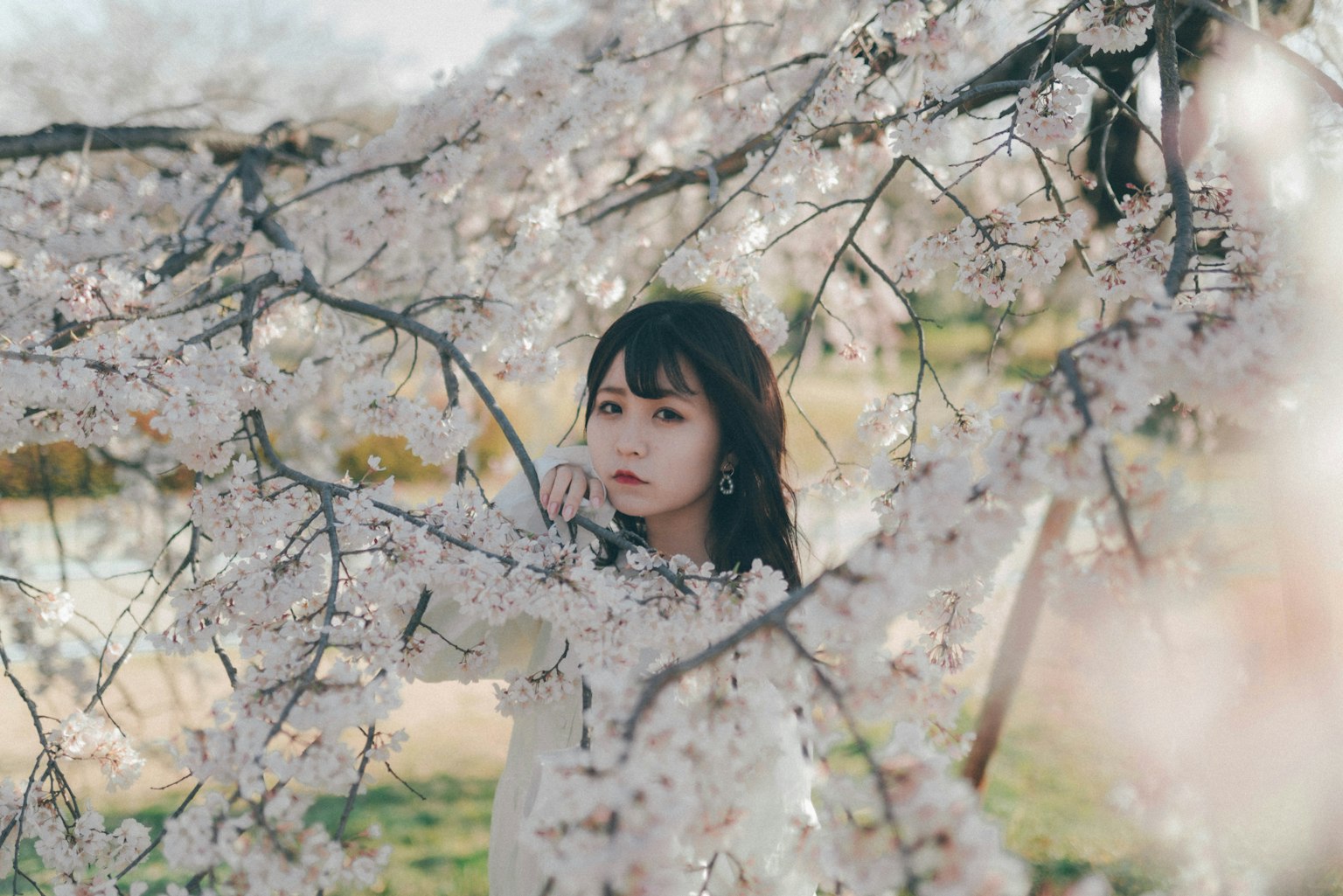 櫻花中的女孩肖像