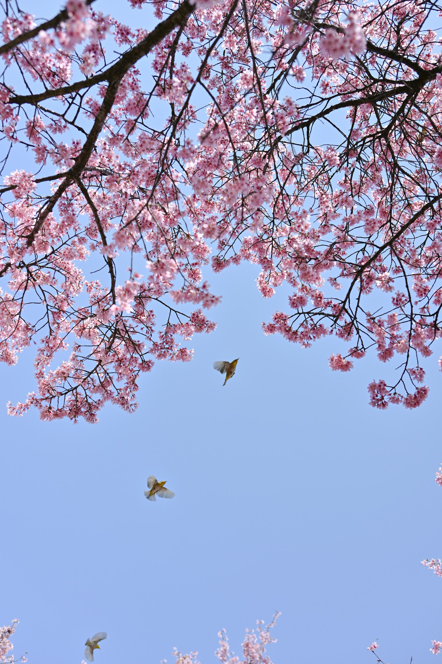 photo-DK1K4VCVvrda8lON0RAJ-image