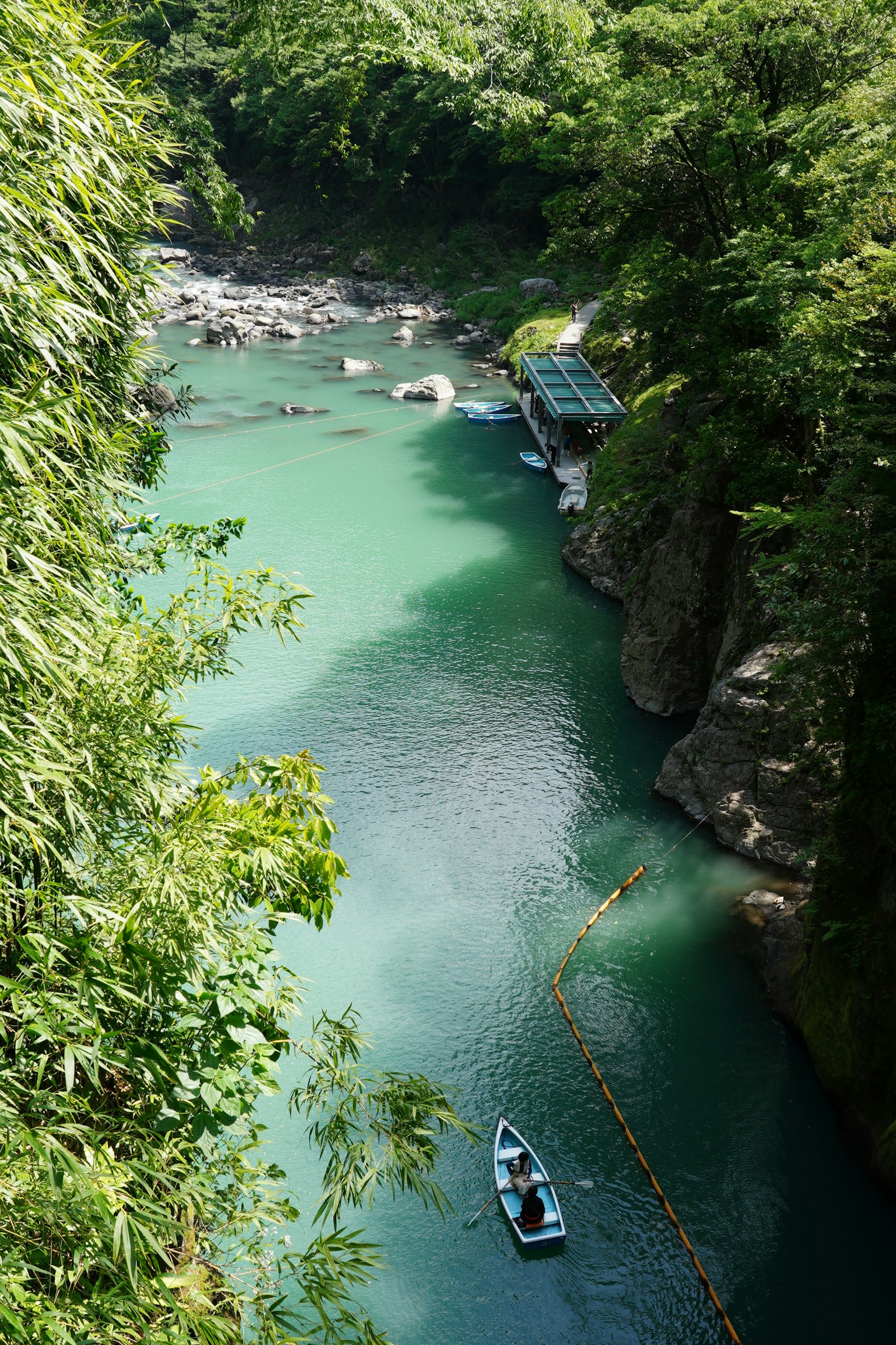 Scenic view of a lush green river with a small boat