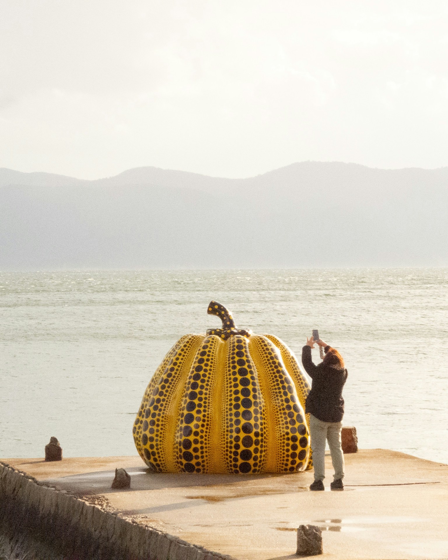 photo-DKjR9txnHG5QVApQnsxV-image