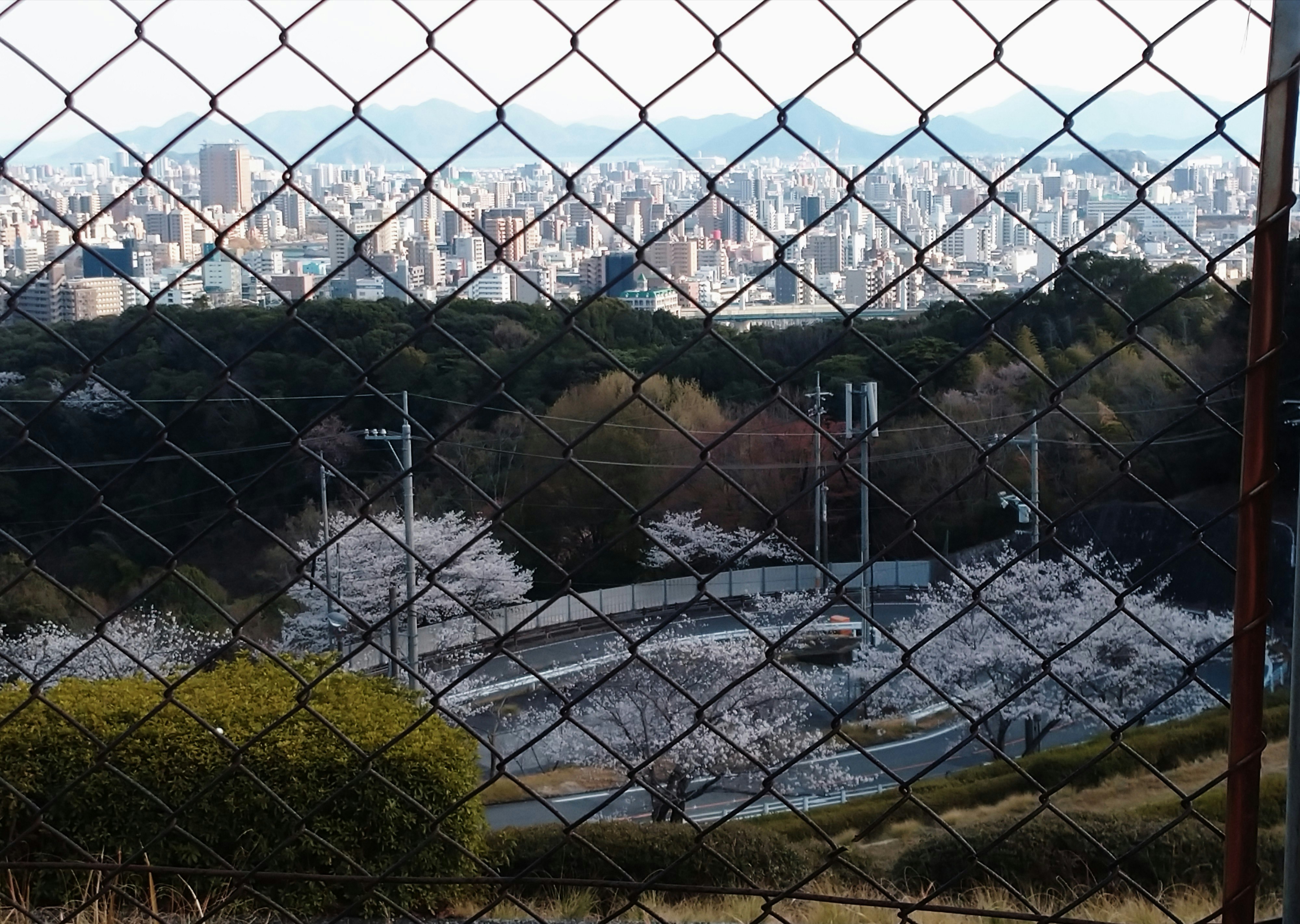 フェンス越しの山並みと街の遠景