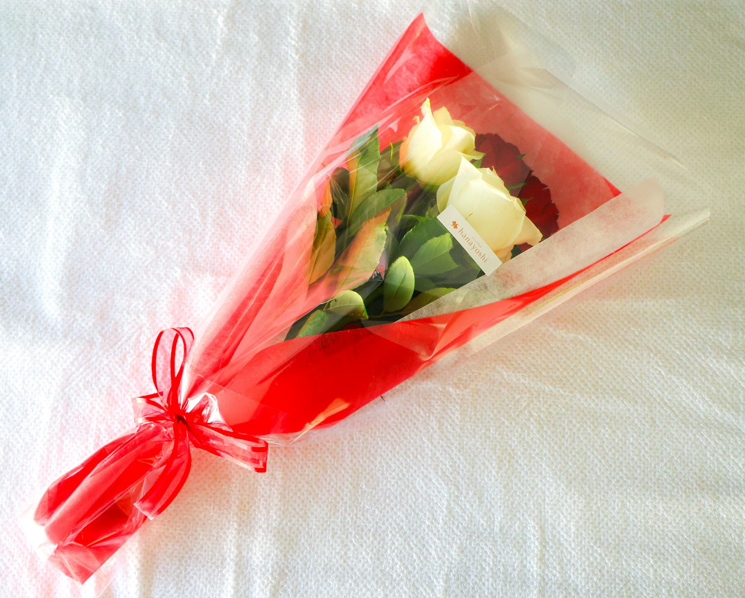 Bouquet of white roses wrapped in red cellophane