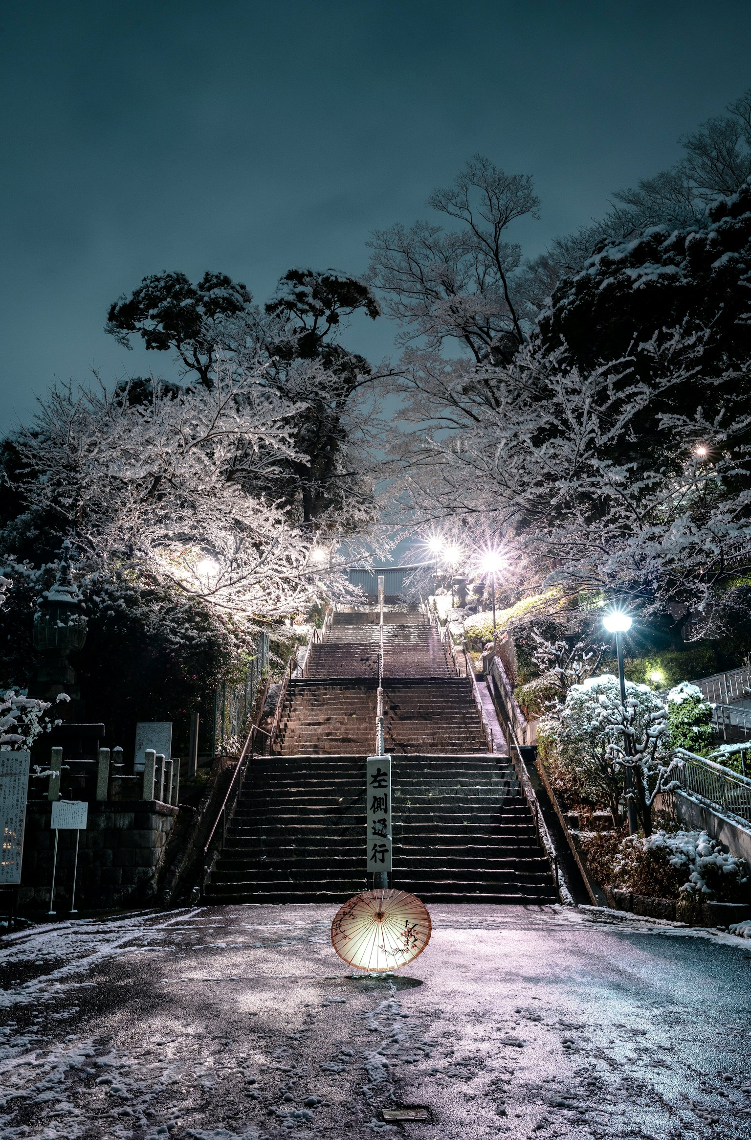 被雪覆蓋的階梯和樹木的夜景