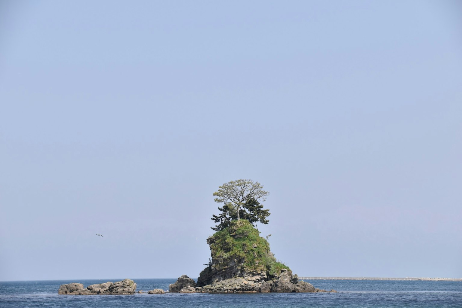 Una pequeña isla con árboles verdes en el mar azul