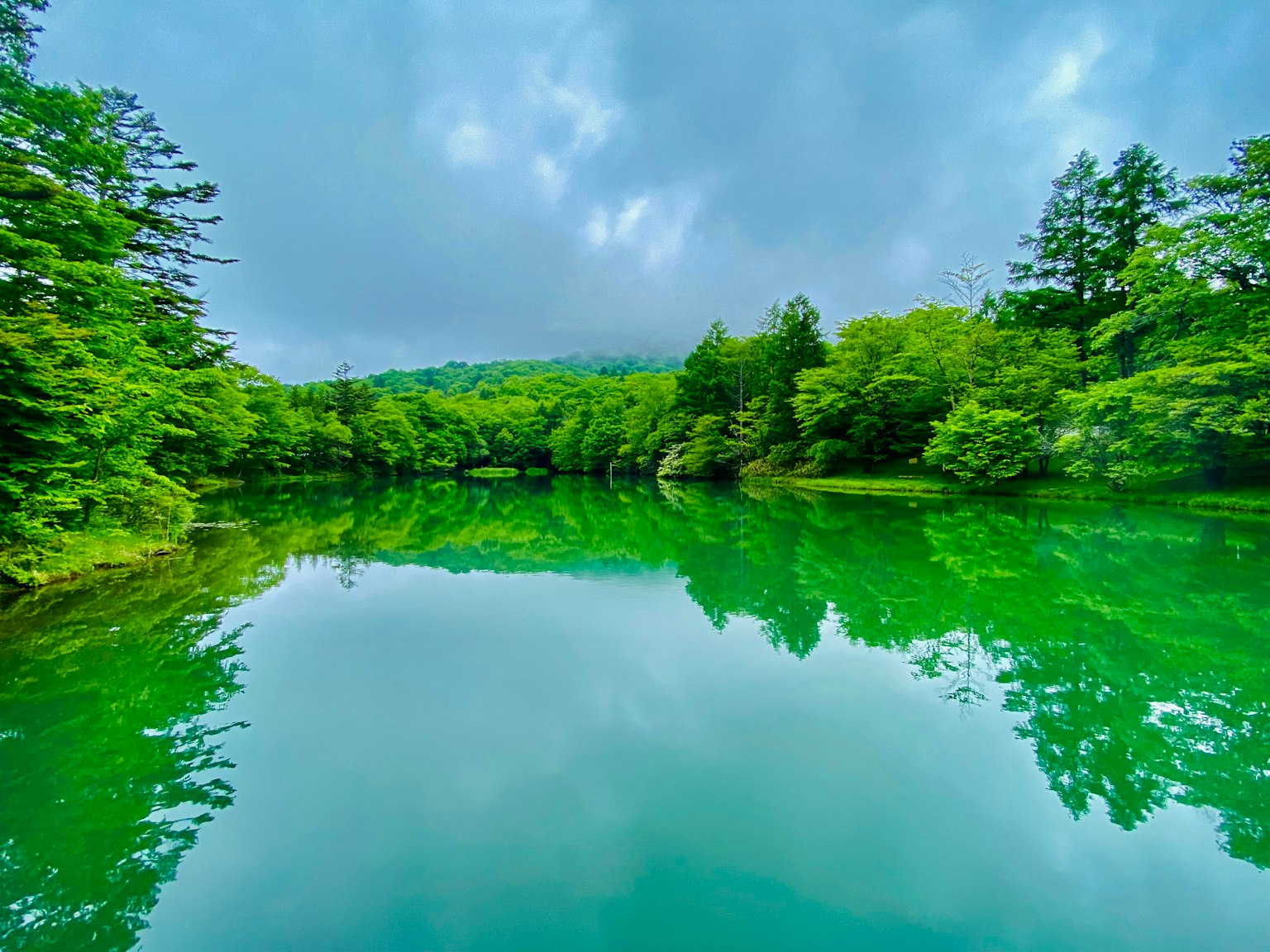 Lago sereno rodeado de exuberantes árboles verdes reflejándose en el agua tranquila
