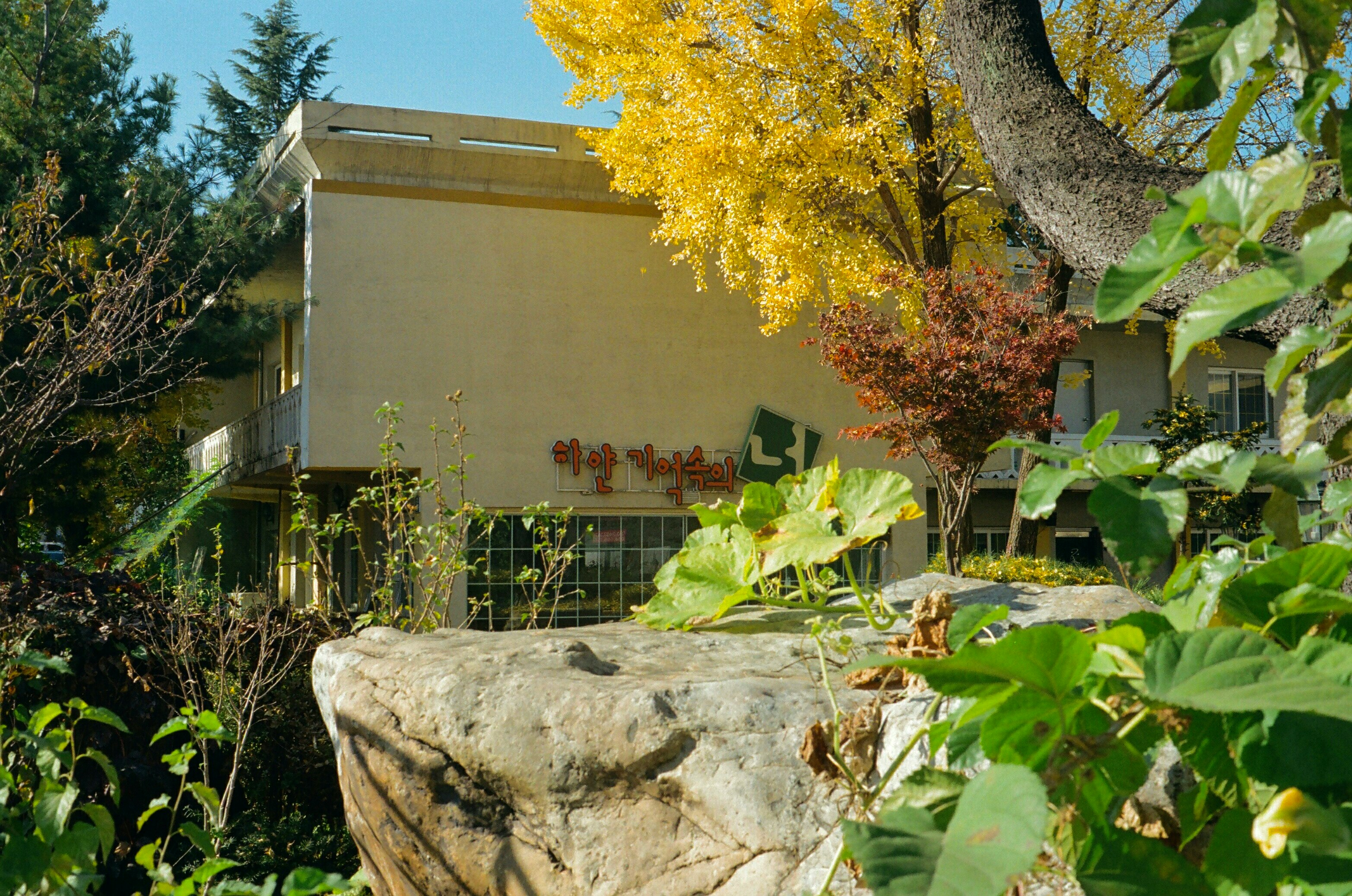 building exterior with a stone border and yellow trees in the courtyard