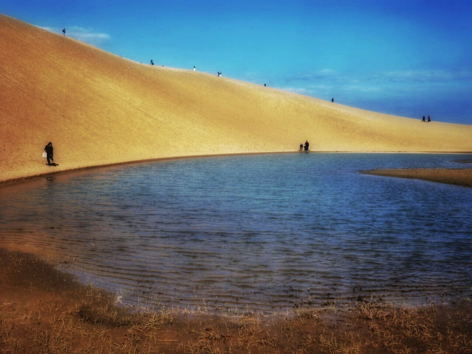 Eine malerische Aussicht auf Sanddünen und einen Teich unter einem blauen Himmel