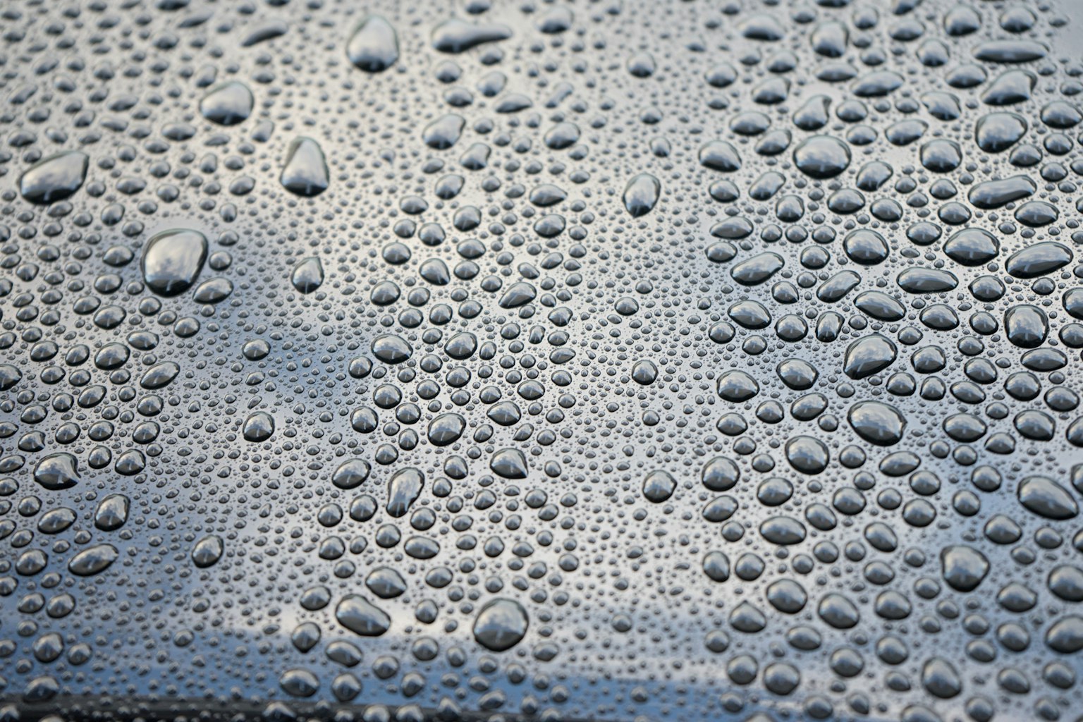 Close-up of water droplets on a dark surface