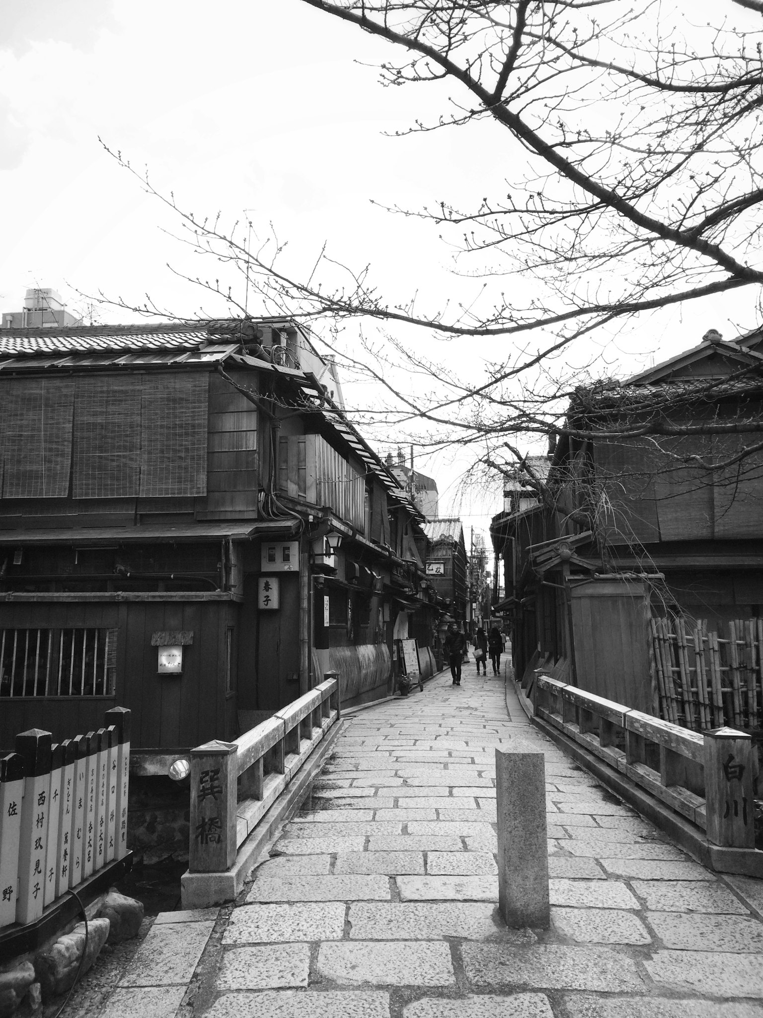 石铺街道与传统木建筑和光秃的树木