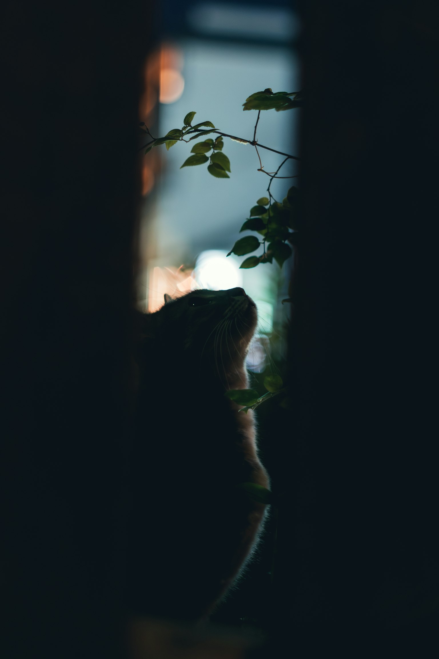 photo-DMUXUEulmbZlQAD6ZbVr-image
