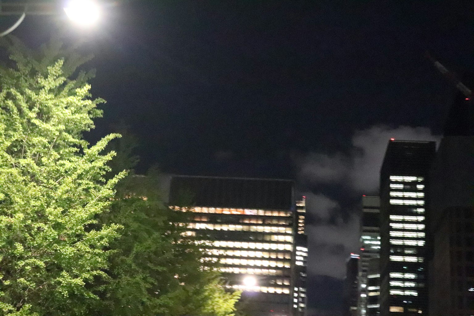 Paisaje urbano nocturno con árboles de calle iluminados y rascacielos