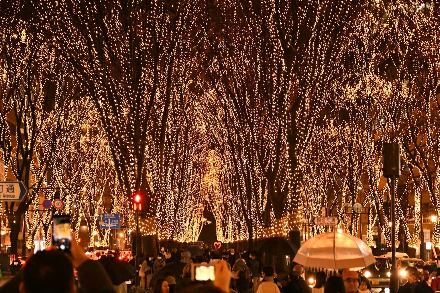 A street adorned with sparkling lights on trees and a crowd of people