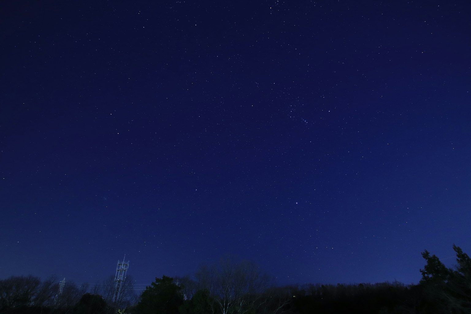 清澈的夜空佈滿閃亮的星星和輪廓樹木