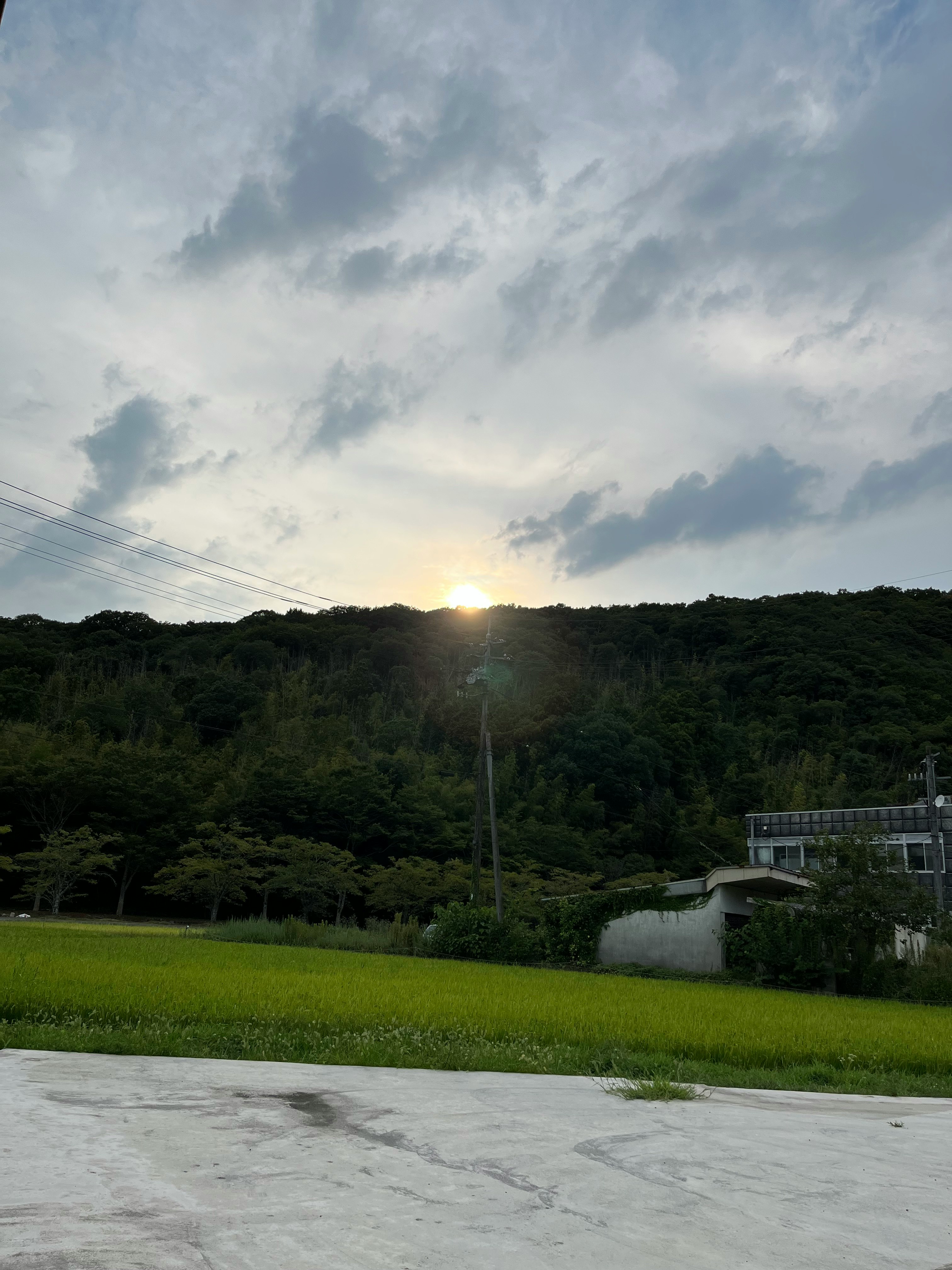 夕陽下有草坪與綠丘的公園景觀