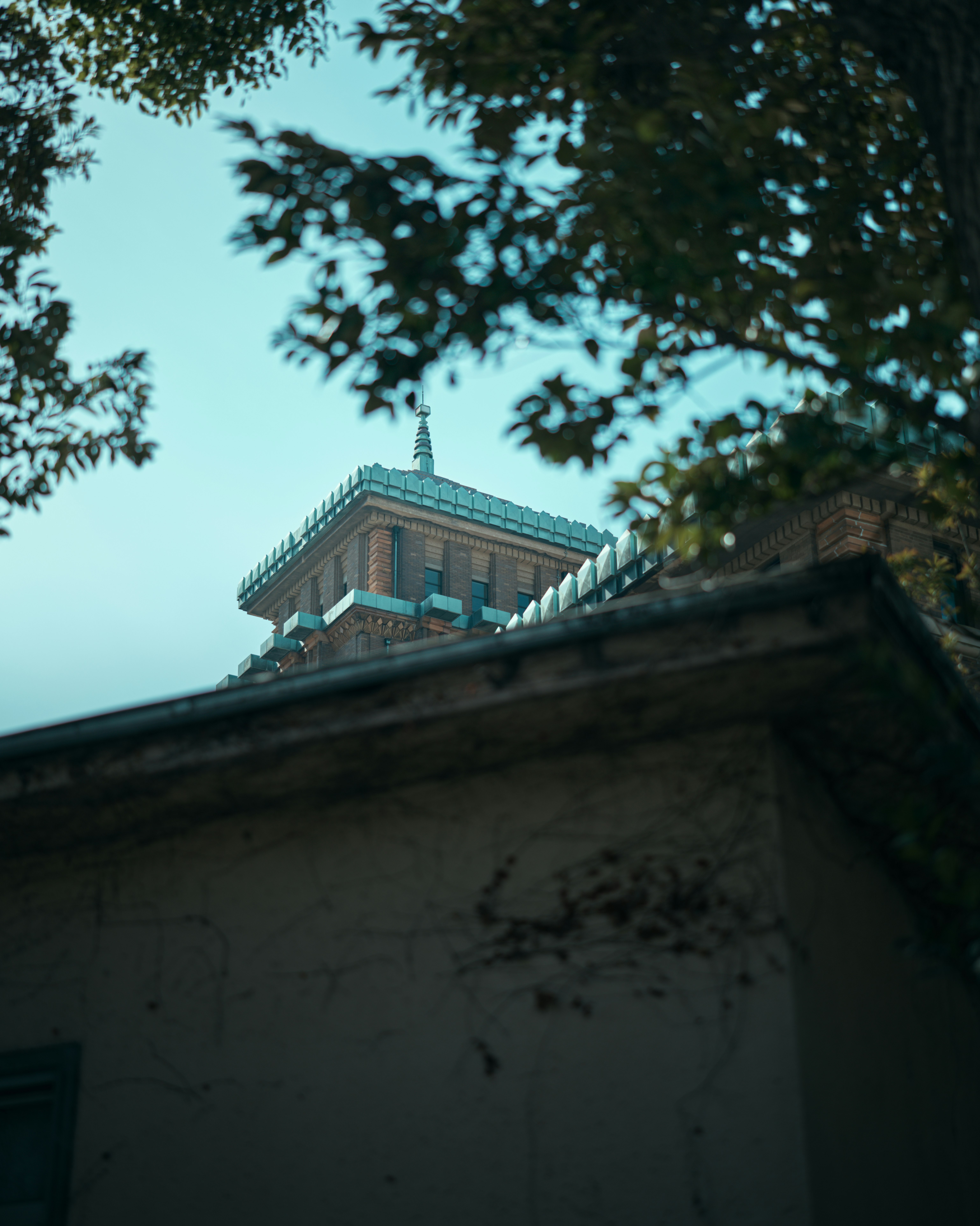 brick church steeple seen through tree leaves