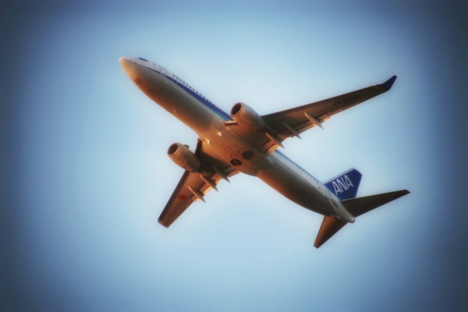 เครื่องบินโดยสาร ANA บินอยู่ท่ามกลางท้องฟ้าสีฟ้า