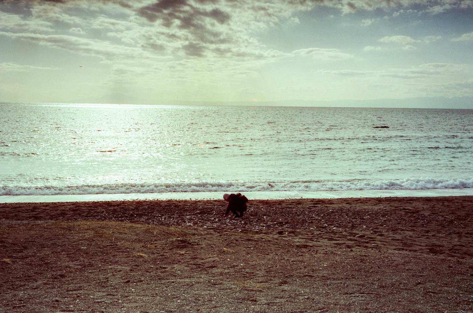 A black dog sitting on a quiet beach with gentle waves