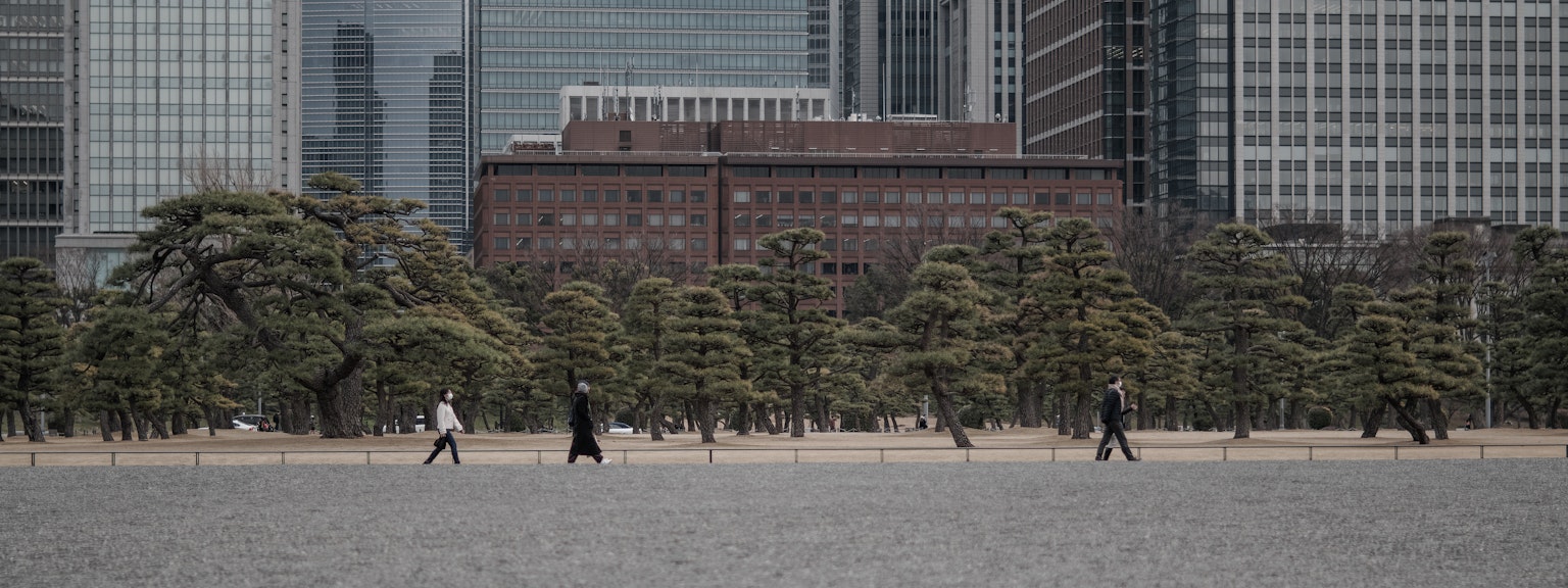 人們在城市公園中散步，周圍有松樹和現代建築
